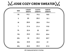 Load image into Gallery viewer, Josie Cozy Crew Sweater - Sage